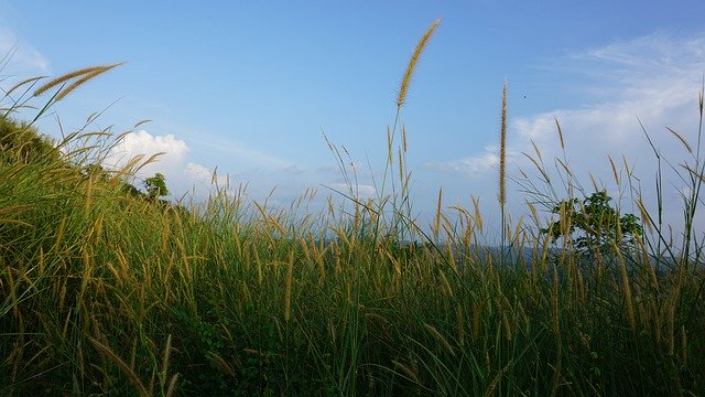 免费下载 Nature Beauty Land - 使用 GIMP 在线图像编辑器编辑的免费照片或图片