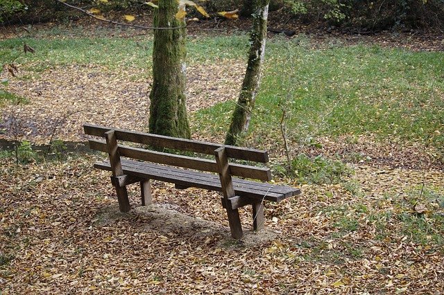 Free picture Nature Bench Forest -  to be edited by GIMP free image editor by OffiDocs