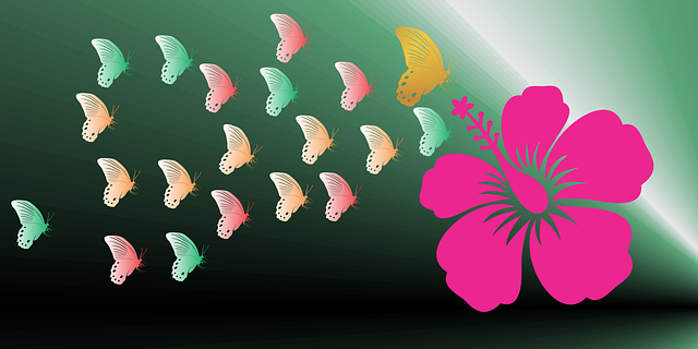 ดาวน์โหลดฟรี Nature Blooming Flower Butterfly - ภาพประกอบฟรีที่จะแก้ไขด้วย GIMP โปรแกรมแก้ไขรูปภาพออนไลน์ฟรี
