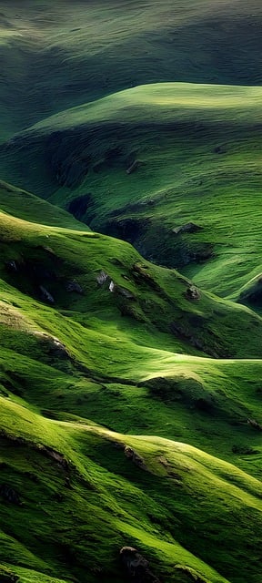 Free download nature fantasy meadow outdoors free picture to be edited with GIMP free online image editor