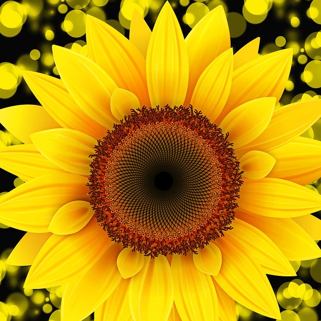 Unduh gratis Nature Flower Plant - foto atau gambar gratis untuk diedit dengan editor gambar online GIMP