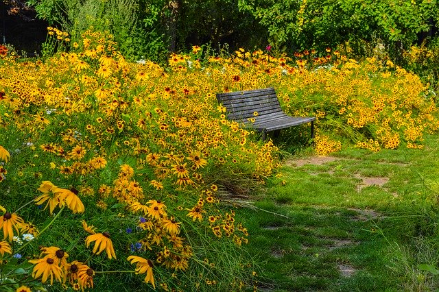 Muat turun percuma Nature Flowers Bank - foto atau gambar percuma untuk diedit dengan editor imej dalam talian GIMP