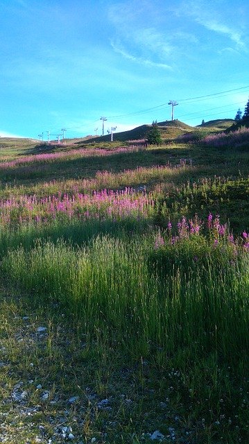 Descărcare gratuită Nature Flowers Mountains - fotografie sau imagini gratuite pentru a fi editate cu editorul de imagini online GIMP