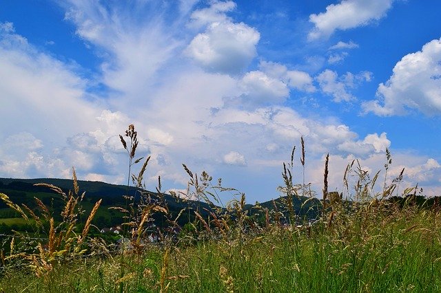 Free download Nature Grasses Clouds -  free photo or picture to be edited with GIMP online image editor