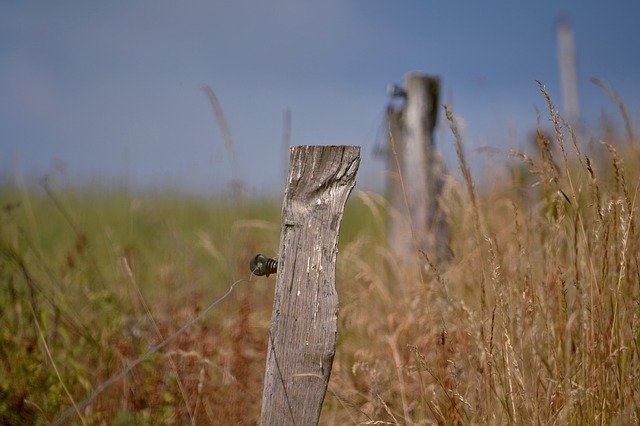 Gratis download Nature Grass Meadow - gratis foto of afbeelding om te bewerken met GIMP online afbeeldingseditor