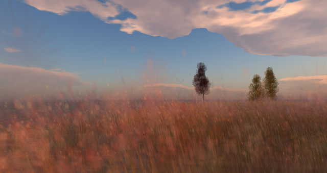 Free picture Nature Grass Sky -  to be edited by GIMP free image editor by OffiDocs