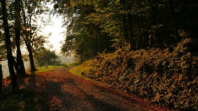 Doğa Manzarası Sonbahar'ı ücretsiz indirin - GIMP çevrimiçi resim düzenleyiciyle düzenlenecek ücretsiz ücretsiz fotoğraf veya resim