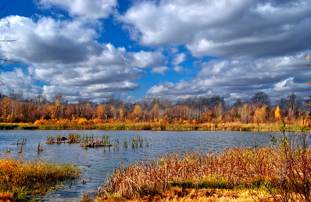 Free download nature landscape autumn water sky free picture to be edited with GIMP free online image editor