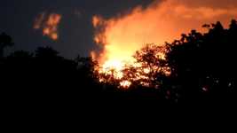 Free download Nature Landscape Coffee Sunset -  free video to be edited with OpenShot online video editor