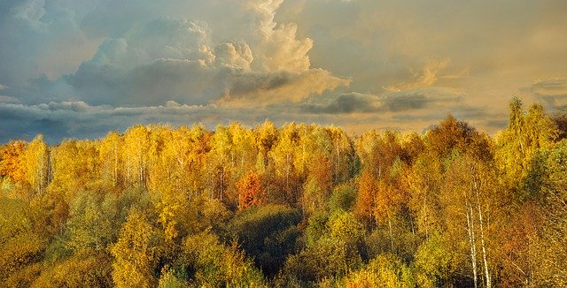Téléchargement gratuit Nature Landscape Fantasy - photo ou image gratuite à éditer avec l'éditeur d'images en ligne GIMP