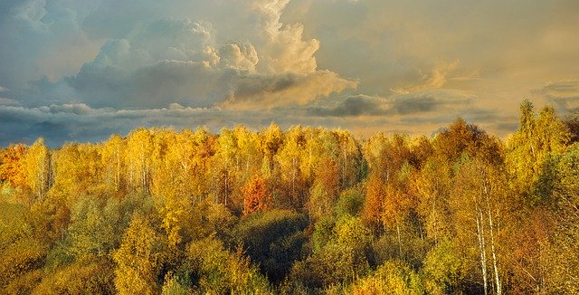 Free download Nature Landscape Fantasy -  free free photo or picture to be edited with GIMP online image editor
