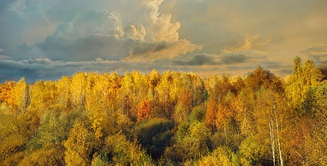 ดาวน์โหลดฟรี Nature Landscape Fantasy - ภาพถ่ายหรือรูปภาพฟรีที่จะแก้ไขด้วยโปรแกรมแก้ไขรูปภาพออนไลน์ GIMP