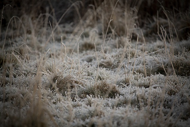 Free download nature landscape grass winter free picture to be edited with GIMP free online image editor