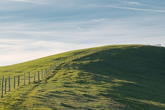 Free download nature landscape meadow fence free picture to be edited with GIMP free online image editor