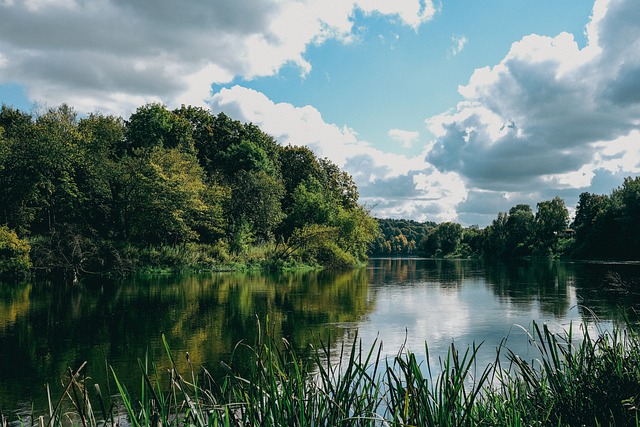 Free download nature landscape river water trees free picture to be edited with GIMP free online image editor
