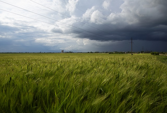Free download nature landscape sky clouds wheat free picture to be edited with GIMP free online image editor