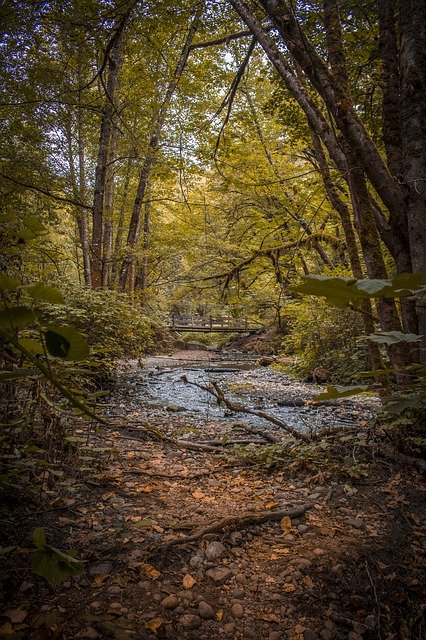 Descărcare gratuită Nature Landscapes Landscape - fotografie sau imagini gratuite pentru a fi editate cu editorul de imagini online GIMP