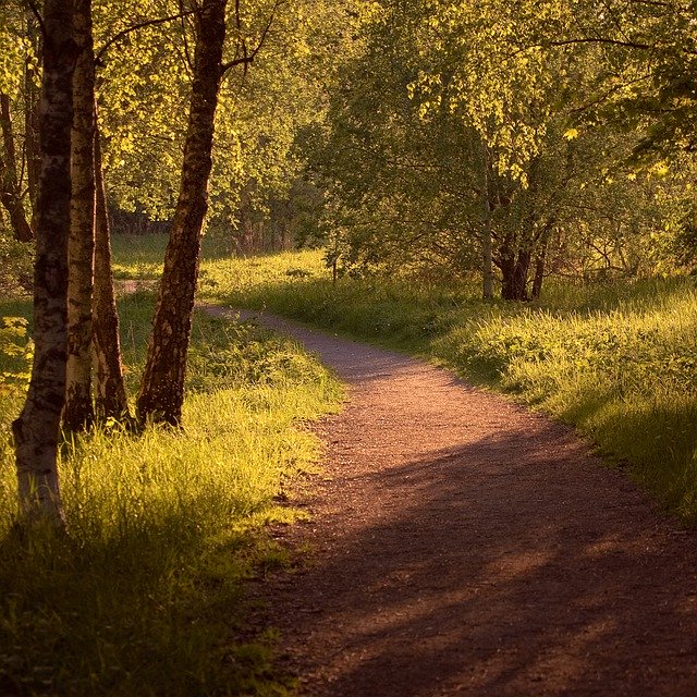 Free download Nature Landscapes Sweden -  free photo or picture to be edited with GIMP online image editor