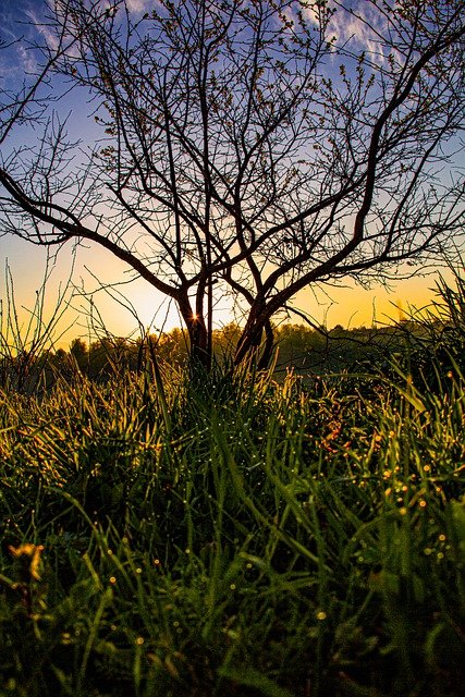 Free download nature landscape sunset sunrise free picture to be edited with GIMP free online image editor