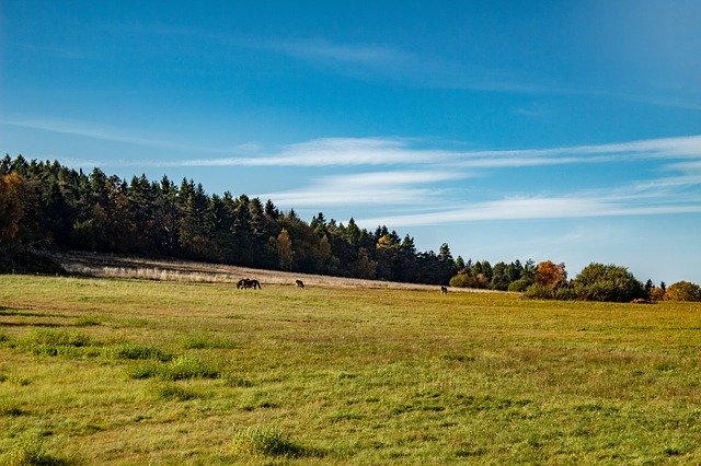 Free download Nature Landscape The Stage -  free photo or picture to be edited with GIMP online image editor