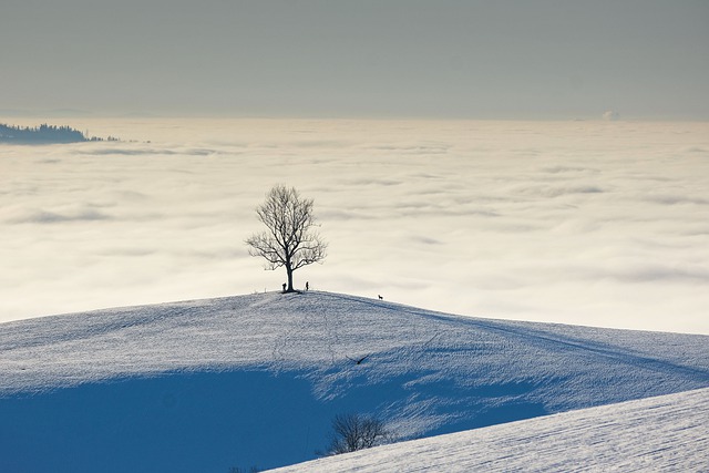 Free download nature landscape winter landscape free picture to be edited with GIMP free online image editor