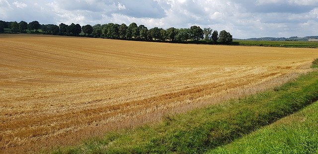 Descărcare gratuită Nature Limburg Landscape South - fotografie sau imagini gratuite pentru a fi editate cu editorul de imagini online GIMP
