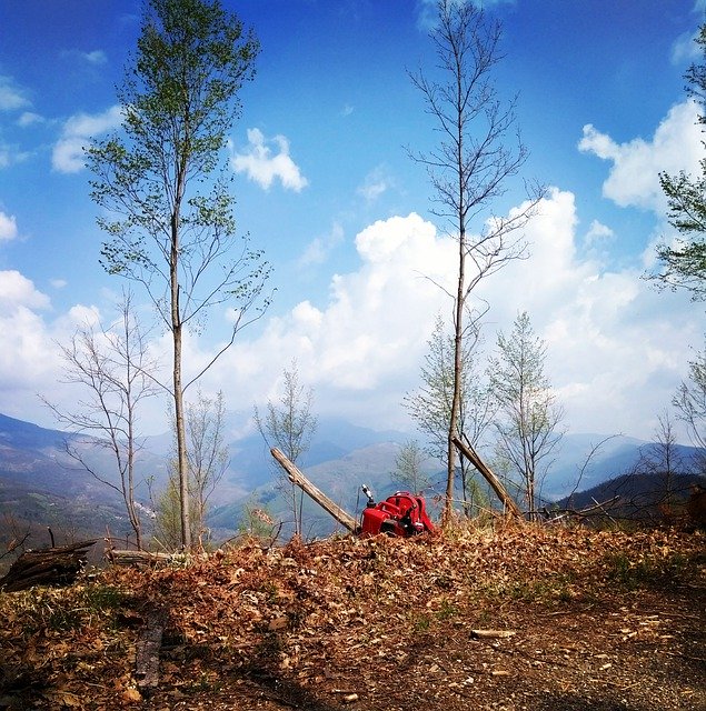 Muat turun percuma Nature Mountain Saw - foto atau gambar percuma untuk diedit dengan editor imej dalam talian GIMP