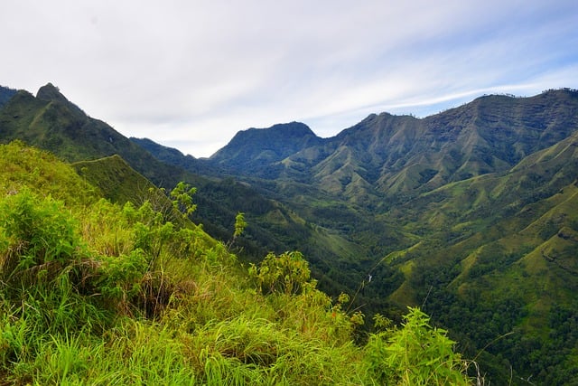 Muat turun percuma alam gunung hutan langit rumput gambar percuma untuk diedit dengan GIMP editor imej dalam talian percuma