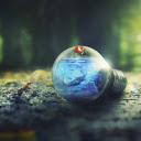 Nature Outdoors  screen for extension Chrome web store in OffiDocs Chromium