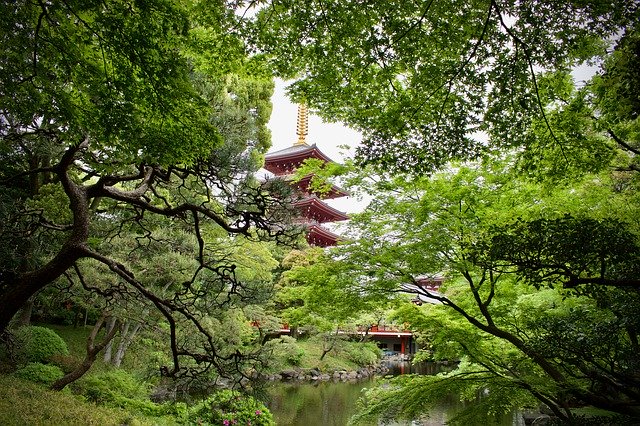 Descarga gratuita Nature Pagoda Temple: foto o imagen gratuita para editar con el editor de imágenes en línea GIMP