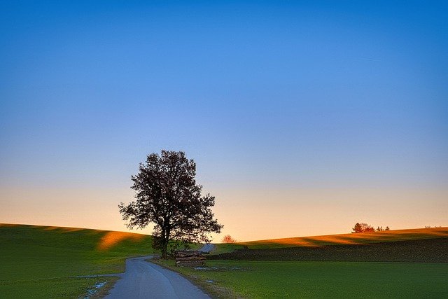 Free download nature path sunset tree meadow free picture to be edited with GIMP free online image editor