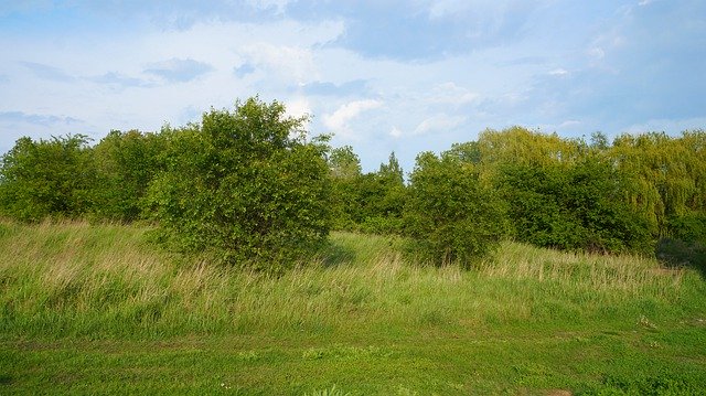 Free download Nature Plants Landscape -  free photo or picture to be edited with GIMP online image editor