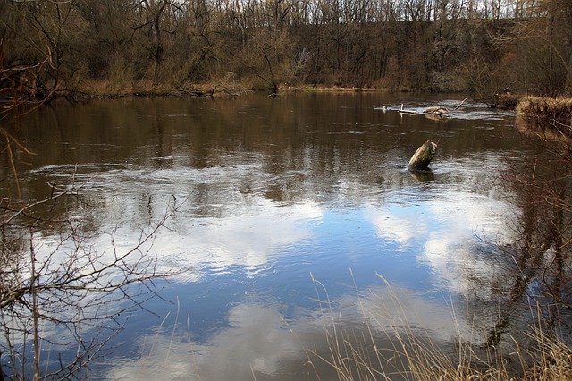 Free download nature pond wilderness woods free picture to be edited with GIMP free online image editor