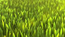 Free download Nature Render Design -  free video to be edited with OpenShot online video editor