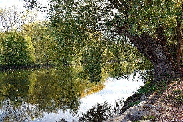 ดาวน์โหลดฟรี Nature River Bank - ภาพถ่ายหรือรูปภาพฟรีที่จะแก้ไขด้วยโปรแกรมแก้ไขรูปภาพออนไลน์ GIMP