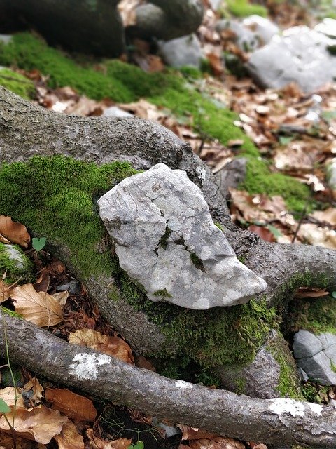Free download Nature Rock -  free photo or picture to be edited with GIMP online image editor