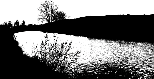 Free download Nature Silhouette Channel The -  free illustration to be edited with GIMP free online image editor