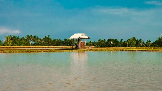 تنزيل مجاني Nature Sky Blue - صورة مجانية أو صورة ليتم تحريرها باستخدام محرر الصور عبر الإنترنت GIMP