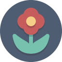 Nature splendid  screen for extension Chrome web store in OffiDocs Chromium