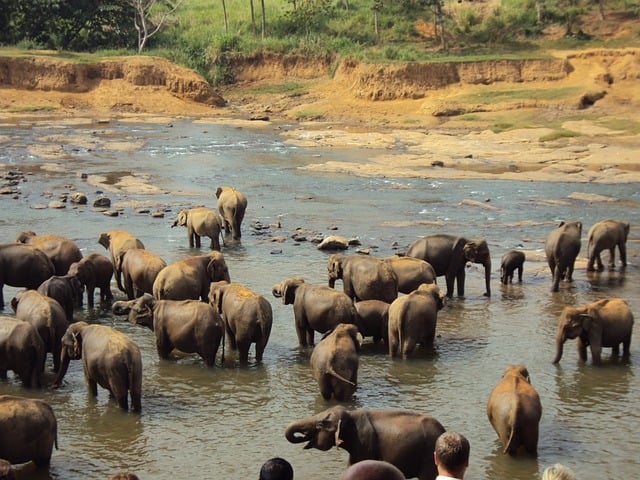 Free download nature sri lanka travel river free picture to be edited with GIMP free online image editor