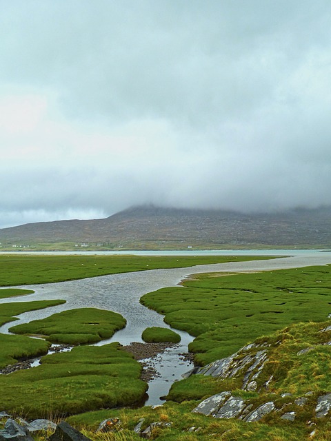 Free download nature stream mountains scenery free picture to be edited with GIMP free online image editor