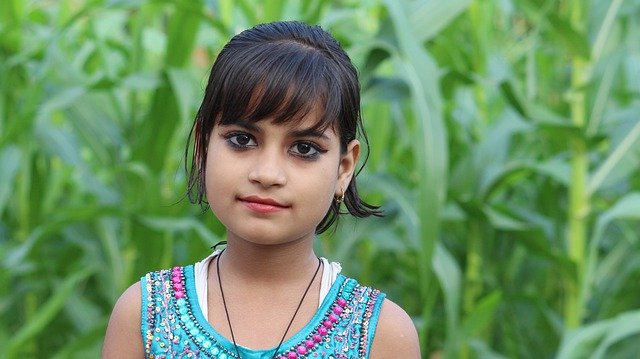 Free download nature summer beautiful outdoors free picture to be edited with GIMP free online image editor