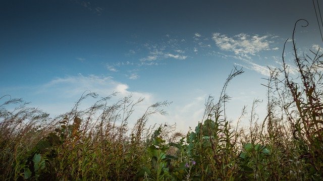 Muat turun percuma Nature Summer Sky - foto atau gambar percuma percuma untuk diedit dengan editor imej dalam talian GIMP