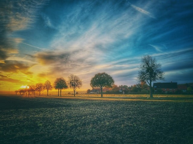 Free download nature sunrise rural sunset trees free picture to be edited with GIMP free online image editor