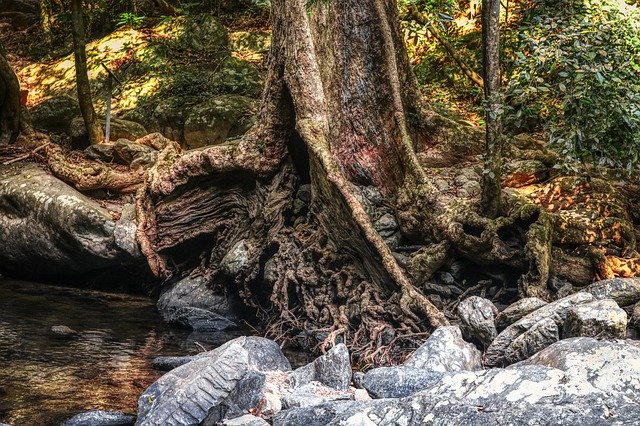 免费下载 Nature Thailand Paradise - 可使用 GIMP 在线图像编辑器编辑的免费照片或图片