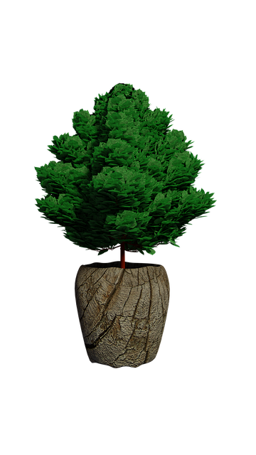 Gratis download Nature Tree Green Transparent - gratis illustratie om te bewerken met GIMP gratis online afbeeldingseditor