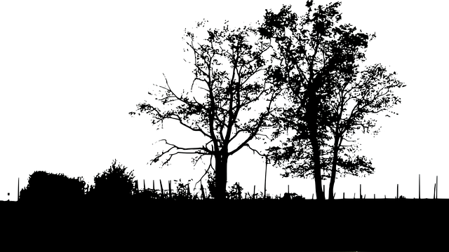 Free download Nature Trees Landscape -  free illustration to be edited with GIMP free online image editor