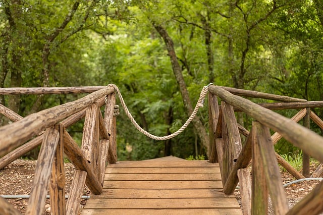 Free download nature trees park green calm free picture to be edited with GIMP free online image editor