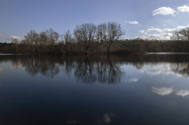 دانلود رایگان قالب عکس Nature Trees Water برای ویرایش با ویرایشگر تصویر آنلاین GIMP