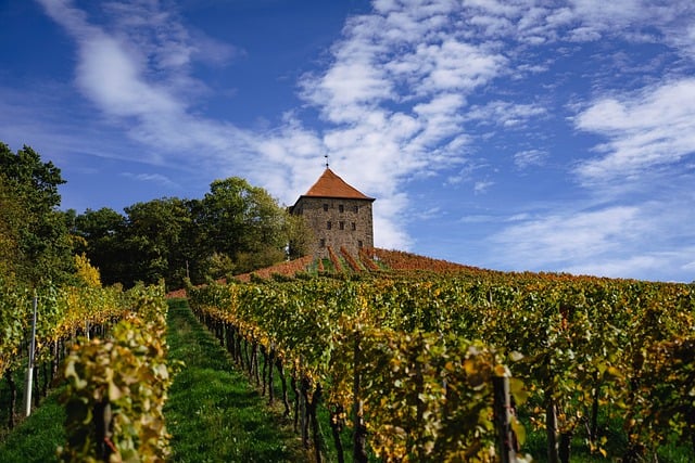 Free download nature vineyard autumn village free picture to be edited with GIMP free online image editor
